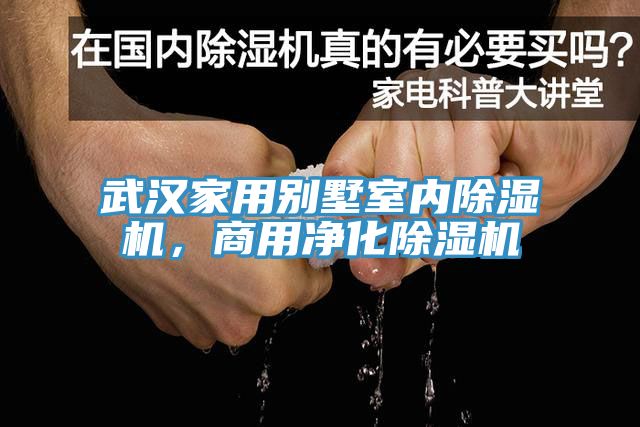 武漢家用別墅室內(nèi)除濕機，商用凈化除濕機