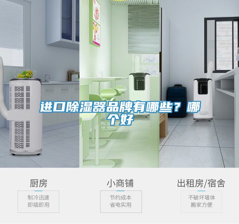 進(jìn)口除濕器品牌有哪些？哪個好