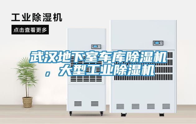 武漢地下室車庫除濕機，大型工業(yè)除濕機
