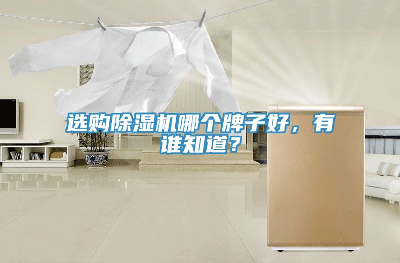 選購(gòu)除濕機(jī)哪個(gè)牌子好，有誰知道？