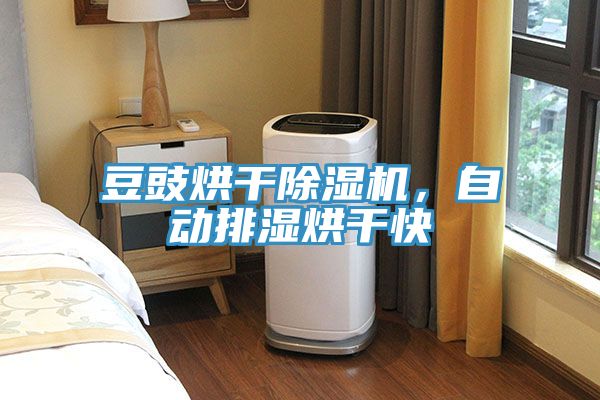 豆豉烘干除濕機(jī)，自動排濕烘干快