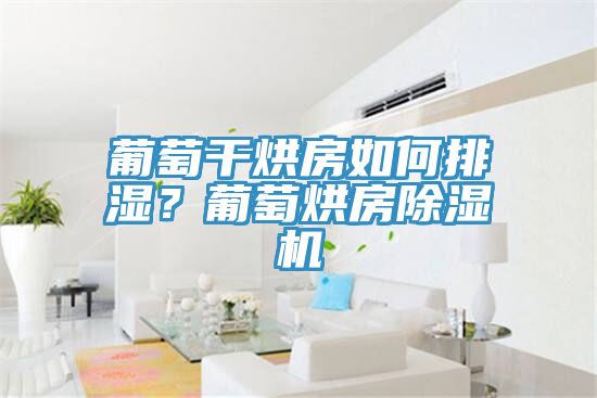葡萄干烘房如何排濕？葡萄烘房除濕機(jī)