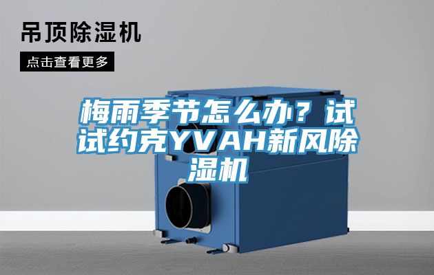 梅雨季節(jié)怎么辦？試試約克YVAH新風除濕機