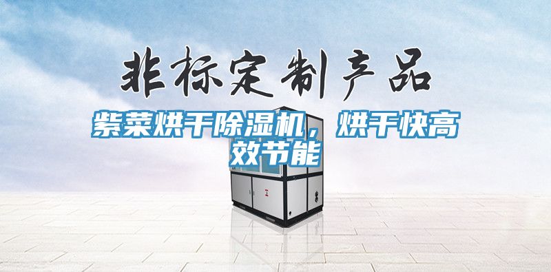 紫菜烘干除濕機，烘干快高效節(jié)能