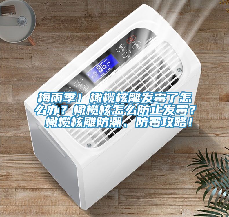 梅雨季！橄欖核雕發(fā)霉了怎么辦？橄欖核怎么防止發(fā)霉？ 橄欖核雕防潮、防霉攻略！