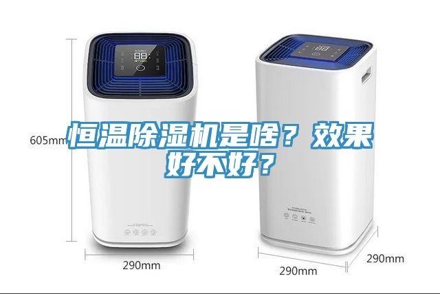 恒溫除濕機是啥？效果好不好？