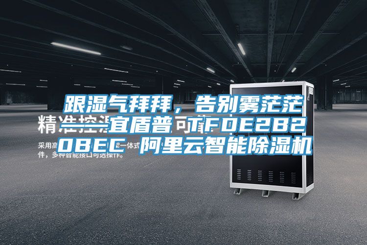 跟濕氣拜拜，告別霧茫?！硕芷?TFDE2B20BEC 阿里云智能除濕機(jī)
