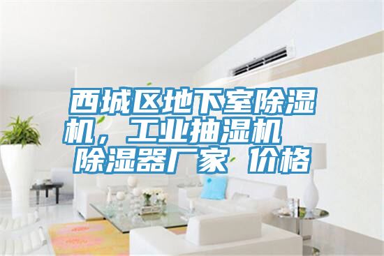 西城區(qū)地下室除濕機，工業(yè)抽濕機  除濕器廠家 價格