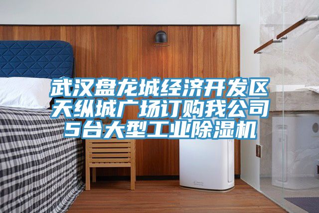 武漢盤龍城經濟開發(fā)區(qū)天縱城廣場訂購我公司5臺大型工業(yè)除濕機