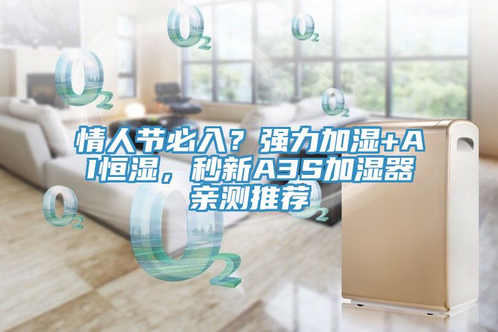 情人節(jié)必入？強(qiáng)力加濕+AI恒濕，秒新A3S加濕器親測(cè)推薦