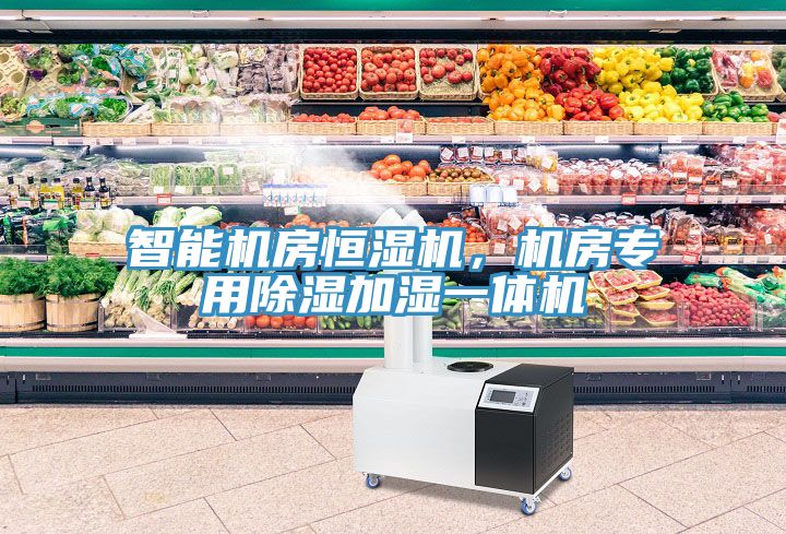 智能機(jī)房恒濕機(jī)，機(jī)房專用除濕加濕一體機(jī)