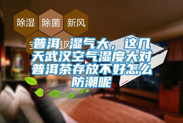 普洱 濕氣大，這幾天武漢空氣濕度大對(duì)普洱茶存放不好怎么防潮呢