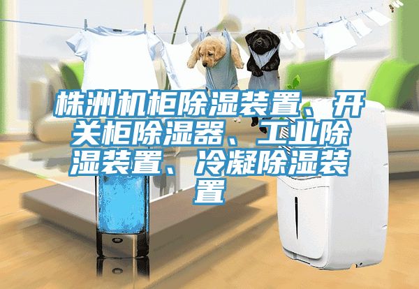 株洲機柜除濕裝置、開關(guān)柜除濕器、工業(yè)除濕裝置、冷凝除濕裝置