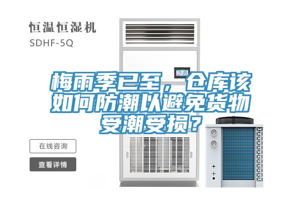 梅雨季已至，倉庫該如何防潮以避免貨物受潮受損？