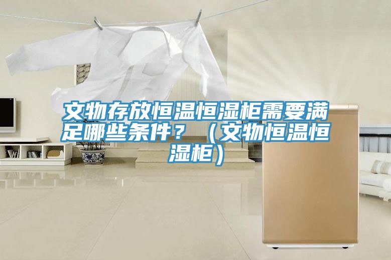 文物存放恒溫恒濕柜需要滿足哪些條件？（文物恒溫恒濕柜）