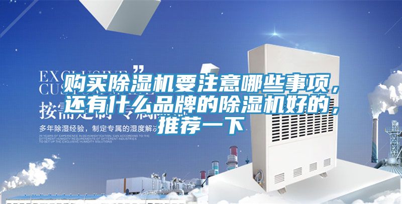 購(gòu)買除濕機(jī)要注意哪些事項(xiàng)，還有什么品牌的除濕機(jī)好的，推薦一下