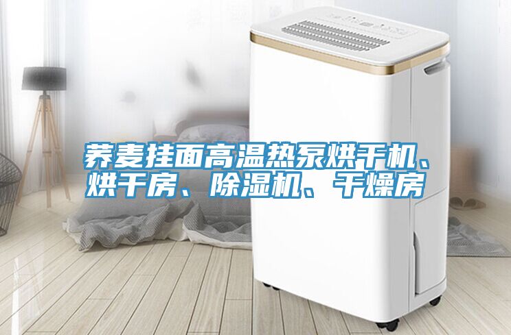 蕎麥掛面高溫?zé)岜煤娓蓹C(jī)、烘干房、除濕機(jī)、干燥房