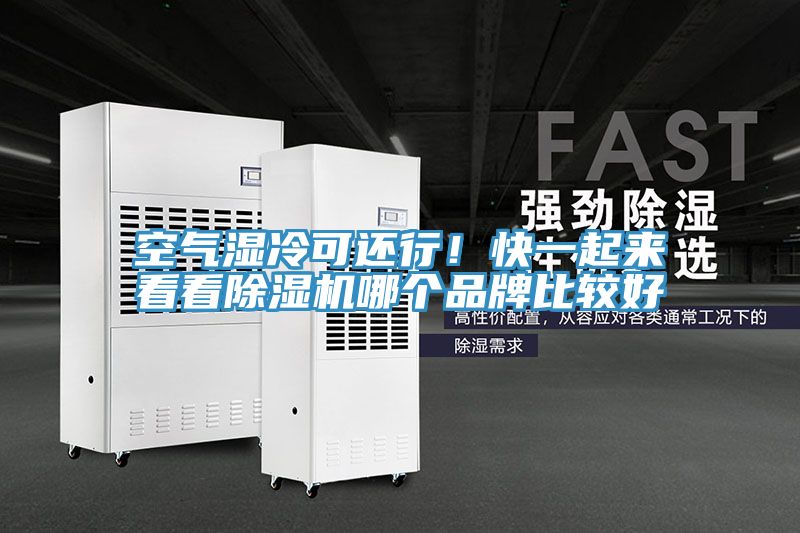 空氣濕冷可還行！快一起來看看除濕機(jī)哪個(gè)品牌比較好