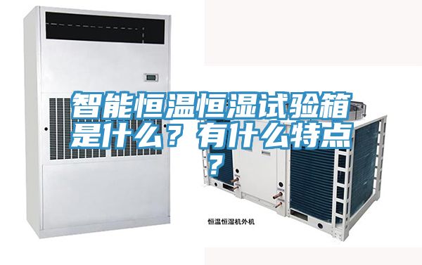 智能恒溫恒濕試驗箱是什么？有什么特點？