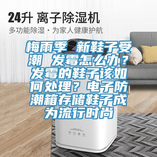 梅雨季 新鞋子受潮 發(fā)霉怎么辦？發(fā)霉的鞋子該如何處理？電子防潮箱存儲(chǔ)鞋子成為流行時(shí)尚