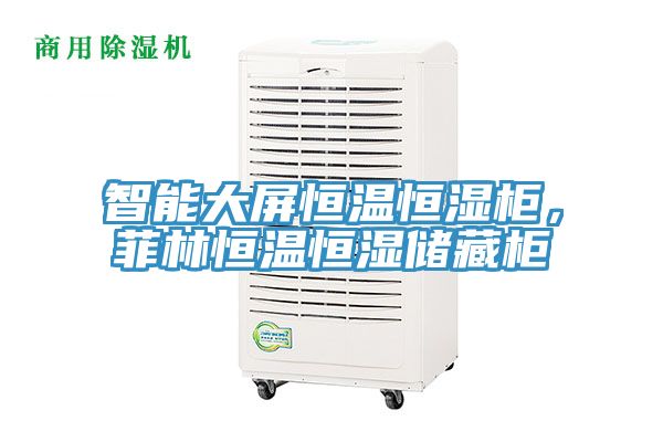 智能大屏恒溫恒濕柜，菲林恒溫恒濕儲(chǔ)藏柜