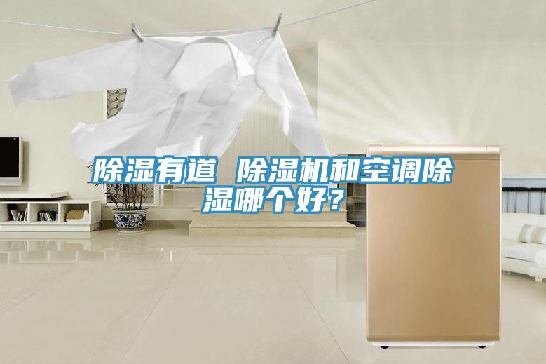 除濕有道 除濕機和空調(diào)除濕哪個好？