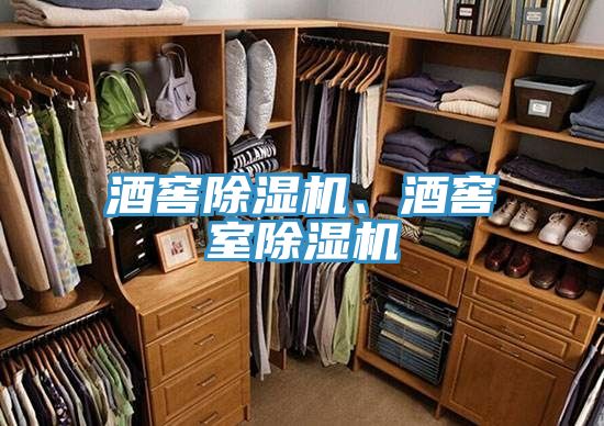 酒窖除濕機、酒窖室除濕機