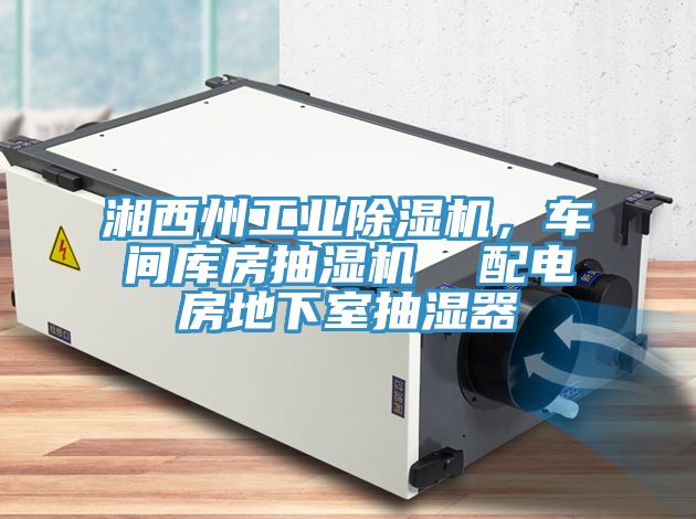 湘西州工業(yè)除濕機，車間庫房抽濕機  配電房地下室抽濕器