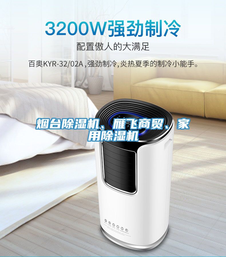 煙臺(tái)除濕機(jī)、雁飛商貿(mào)、家用除濕機(jī)