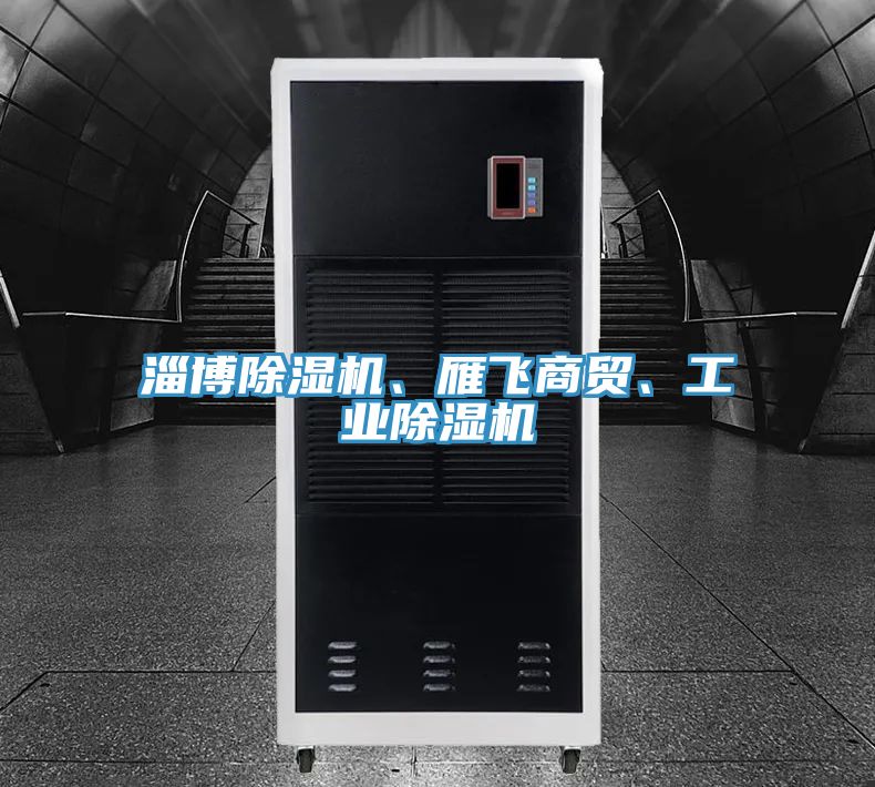 淄博除濕機(jī)、雁飛商貿(mào)、工業(yè)除濕機(jī)