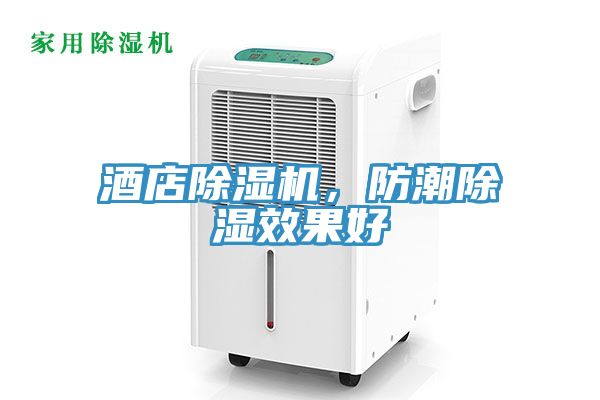 酒店除濕機，防潮除濕效果好