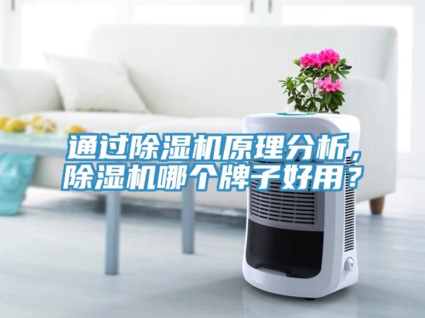 通過除濕機原理分析，除濕機哪個牌子好用？