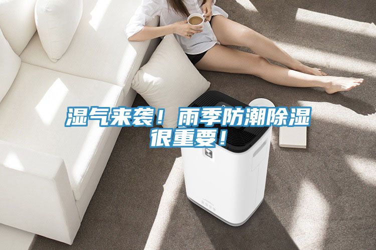 濕氣來襲！雨季防潮除濕很重要！