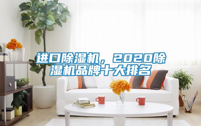 進口除濕機，2020除濕機品牌十大排名