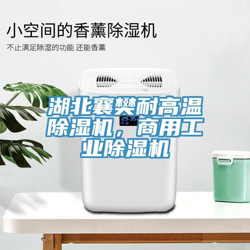 湖北襄樊耐高溫除濕機，商用工業(yè)除濕機
