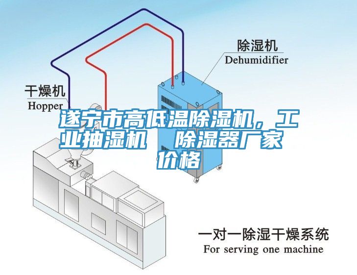 遂寧市高低溫除濕機，工業(yè)抽濕機  除濕器廠家 價格
