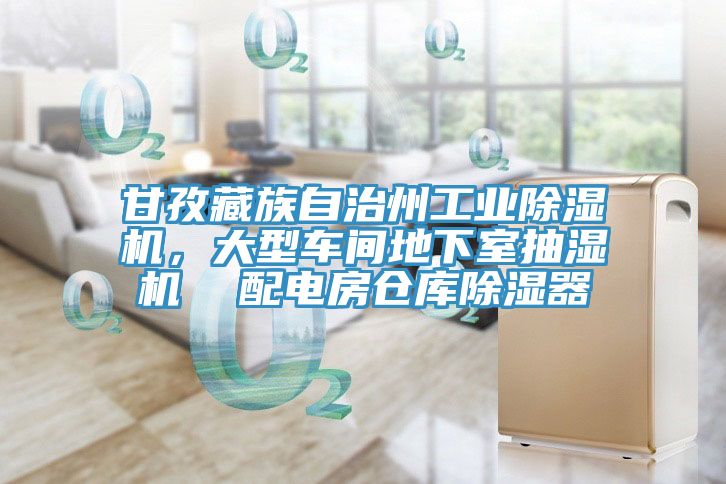 甘孜藏族自治州工業(yè)除濕機，大型車間地下室抽濕機  配電房倉庫除濕器