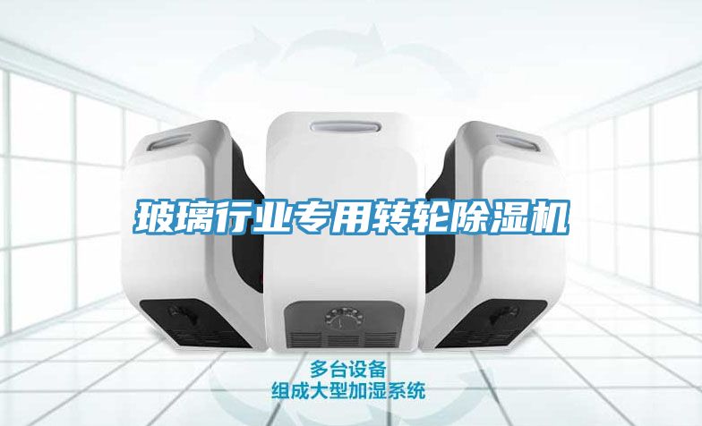 玻璃行業(yè)專(zhuān)用轉(zhuǎn)輪除濕機(jī)