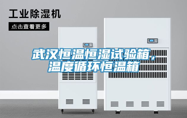 武漢恒溫恒濕試驗箱，溫度循環(huán)恒溫箱