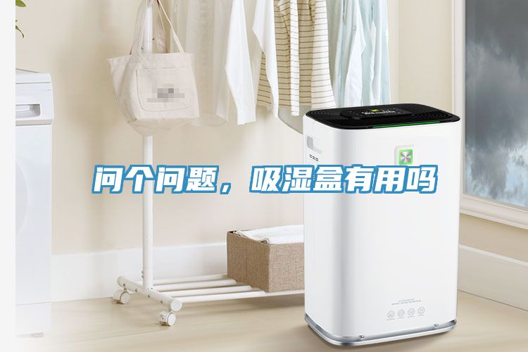 問(wèn)個(gè)問(wèn)題，吸濕盒有用嗎