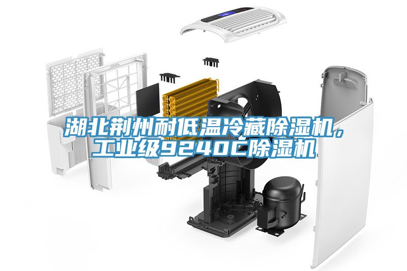 湖北荊州耐低溫冷藏除濕機，工業(yè)級9240C除濕機