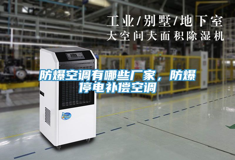 防爆空調(diào)有哪些廠家，防爆停電補(bǔ)償空調(diào)