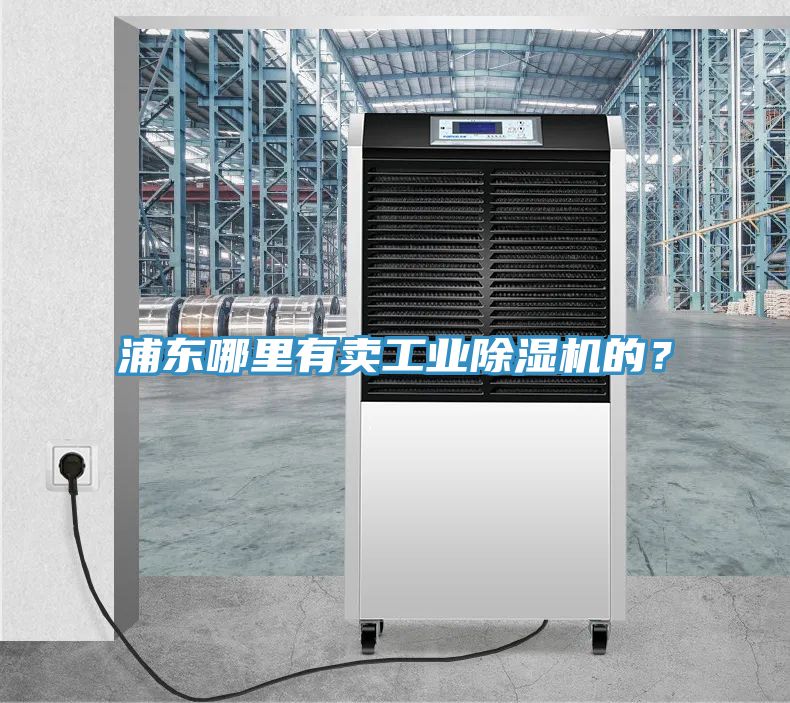浦東哪里有賣工業(yè)除濕機(jī)的？