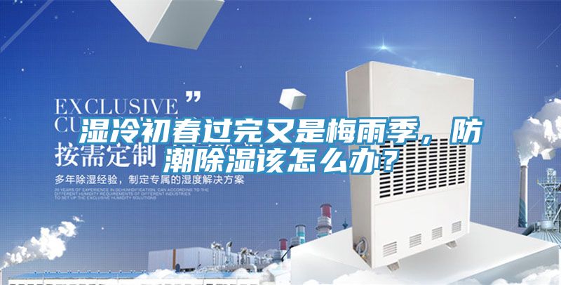濕冷初春過完又是梅雨季，防潮除濕該怎么辦？