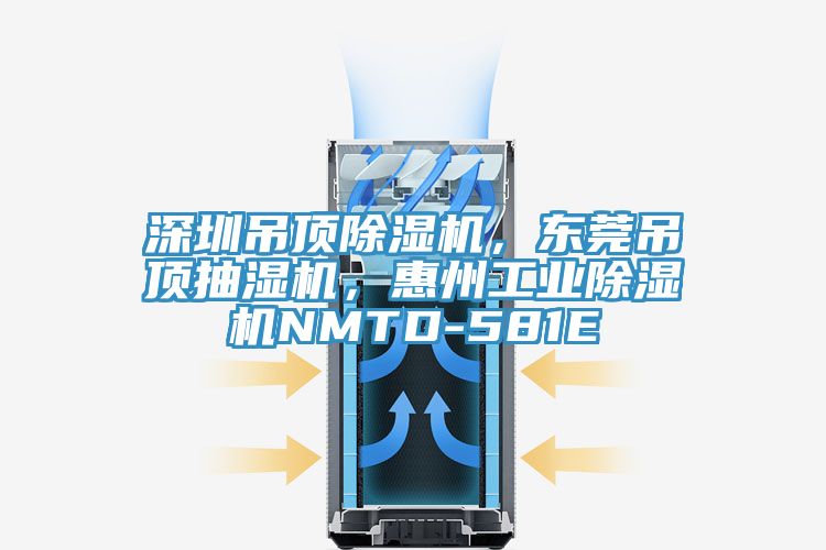 深圳吊頂除濕機(jī)，東莞吊頂抽濕機(jī)，惠州工業(yè)除濕機(jī)NMTD-581E