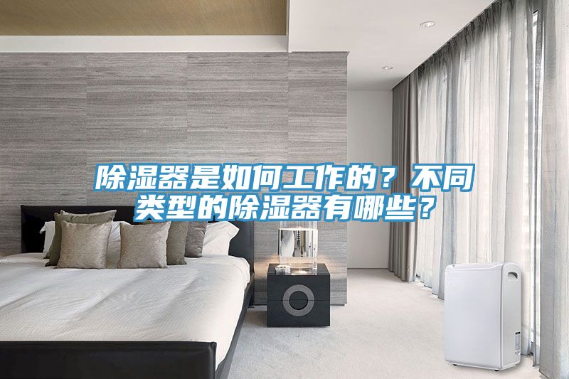 除濕器是如何工作的？不同類型的除濕器有哪些？