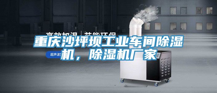 重慶沙坪壩工業(yè)車間除濕機，除濕機廠家