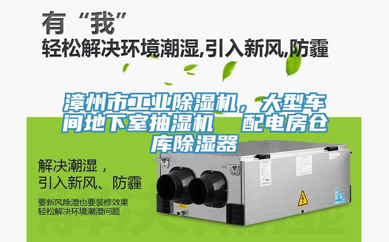 漳州市工業(yè)除濕機，大型車間地下室抽濕機  配電房倉庫除濕器