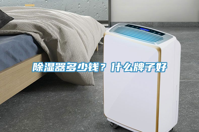 除濕器多少錢(qián)？什么牌子好