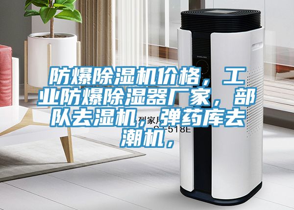 防爆除濕機(jī)價(jià)格，工業(yè)防爆除濕器廠家，部隊(duì)去濕機(jī)，彈藥庫(kù)去潮機(jī)，